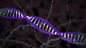 CRISPR-cas9: Revolução na manipulação de genes CRISPR-cas9: Revolução na manipulação de genes